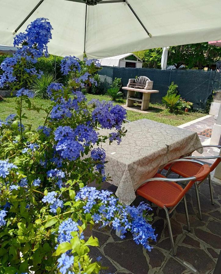 Bertos House Tra Mare E Laguna Cavallino-Treporti Exteriör bild