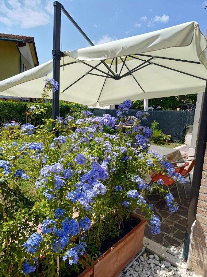 Bertos House Tra Mare E Laguna Cavallino-Treporti Exteriör bild